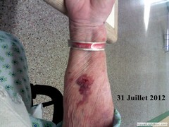 Le15Septembre2012LaisseSansSurveillance